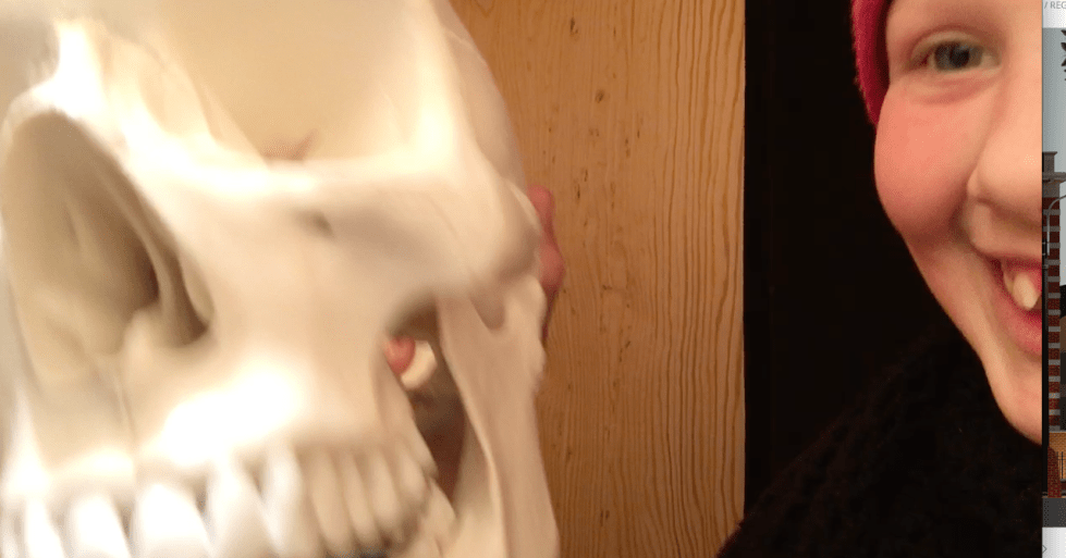 Screen Shot 2017-03-10 at 17.32.24